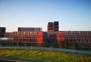 荆州木门镶嵌不锈钢T型条品牌